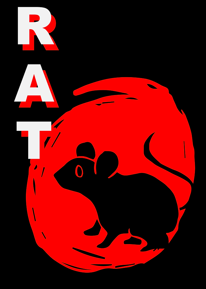 Rat Animal Japan 6