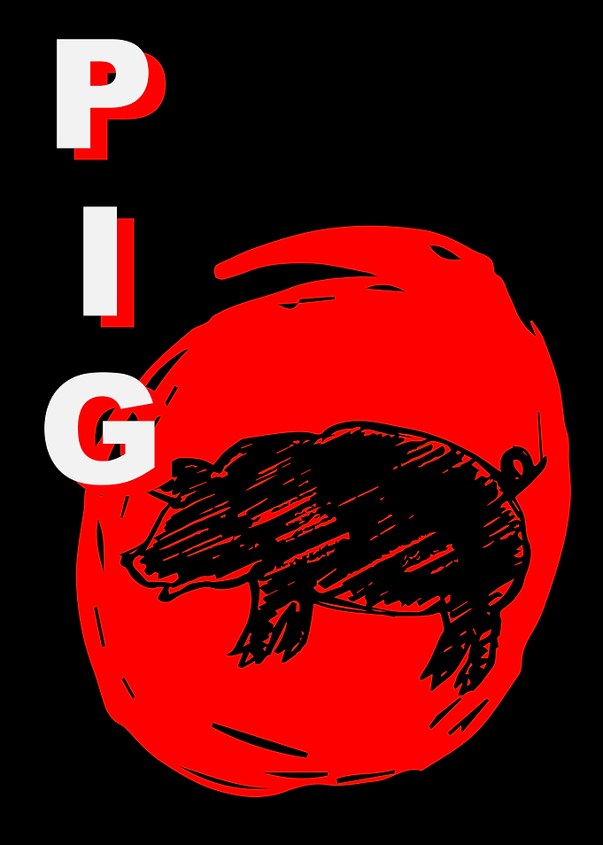 Pig Animal Japan 10