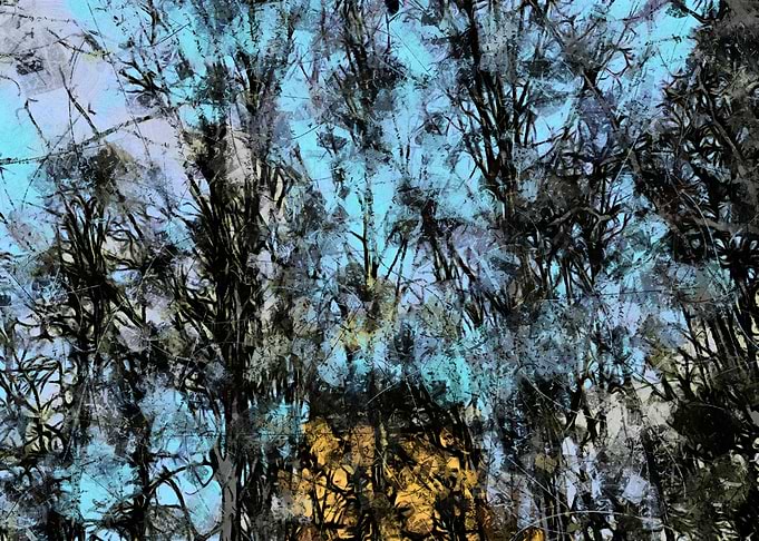 house in trees