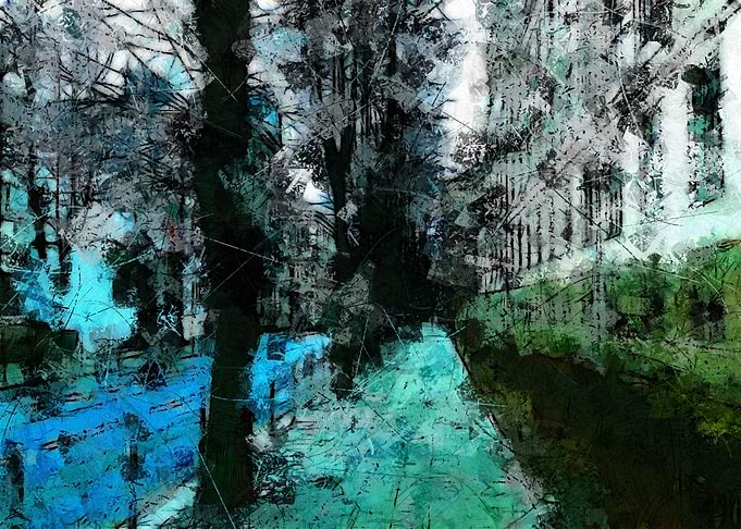 trees in city