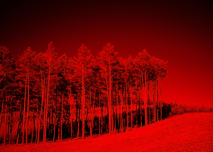 INFRARED LANSDCAPE 2