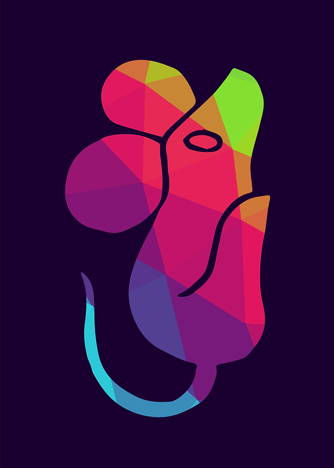 Rat Animal Rainbow 1
