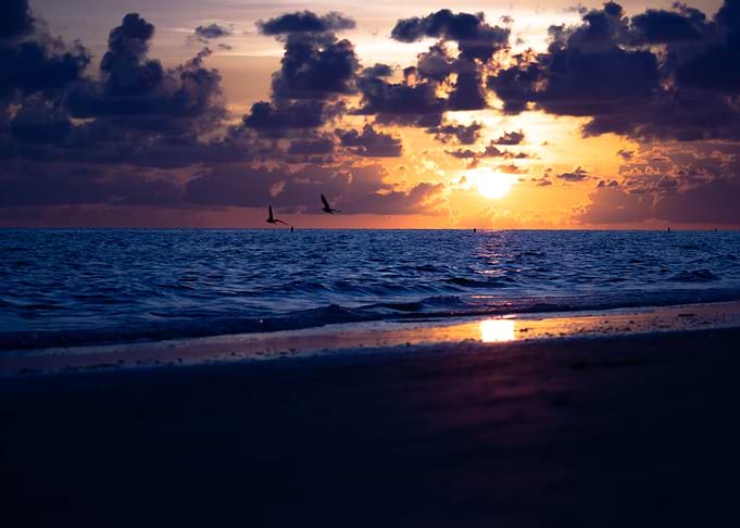 A Walk On the Beach