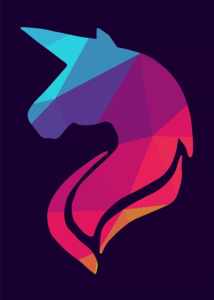 Unicorn Rainbow 9