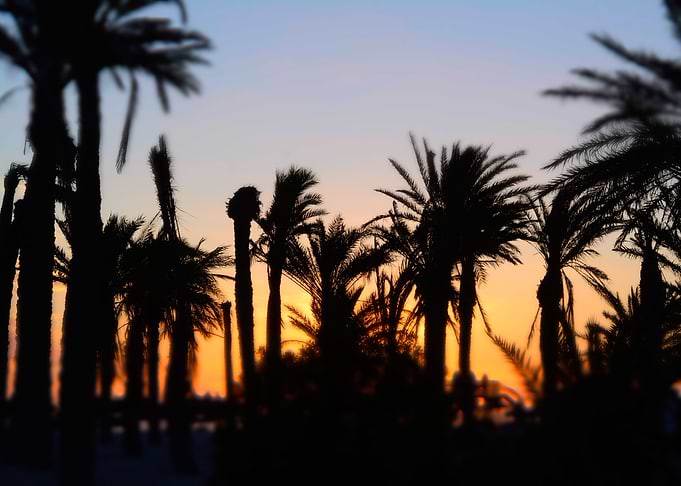 Sunset in Paradise