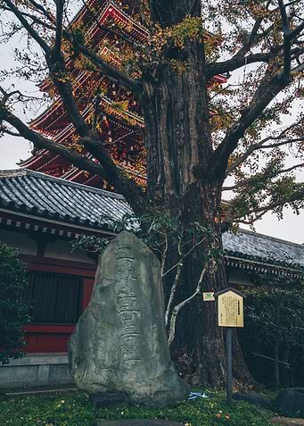 Engraved Stone in Japan