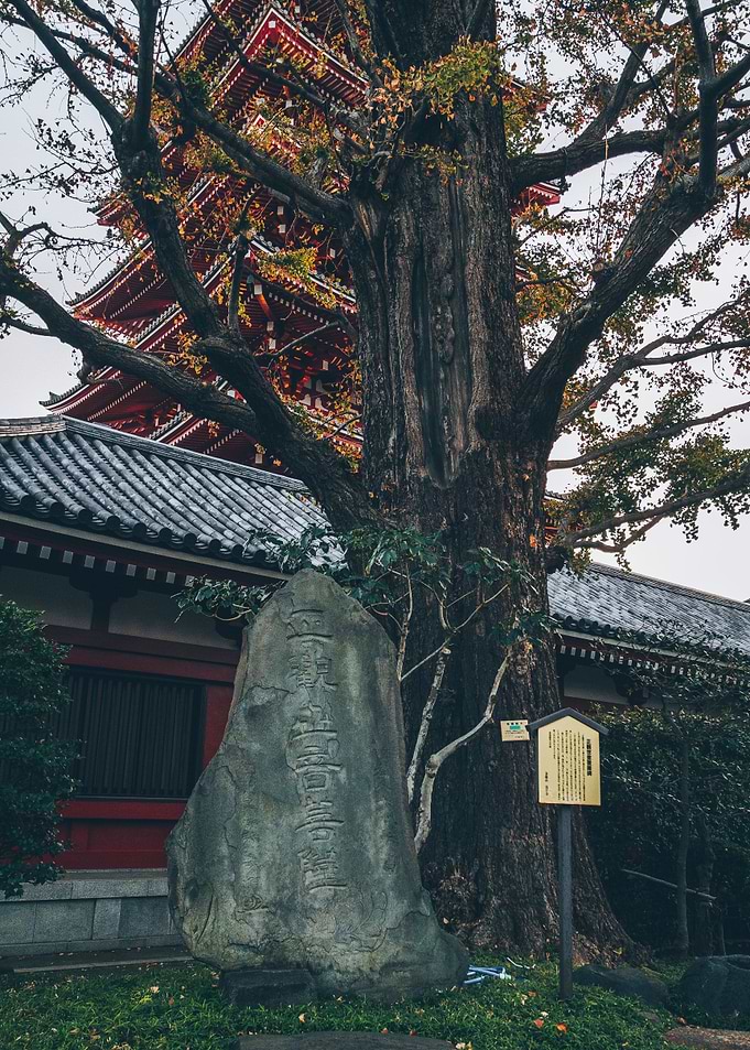 Engraved Stone in Japan