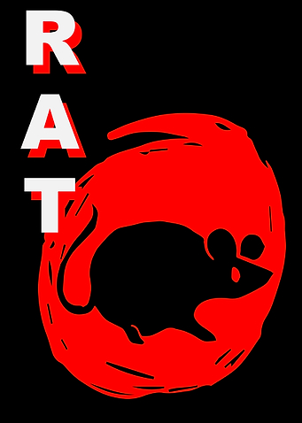 Rat Animal Japan 1