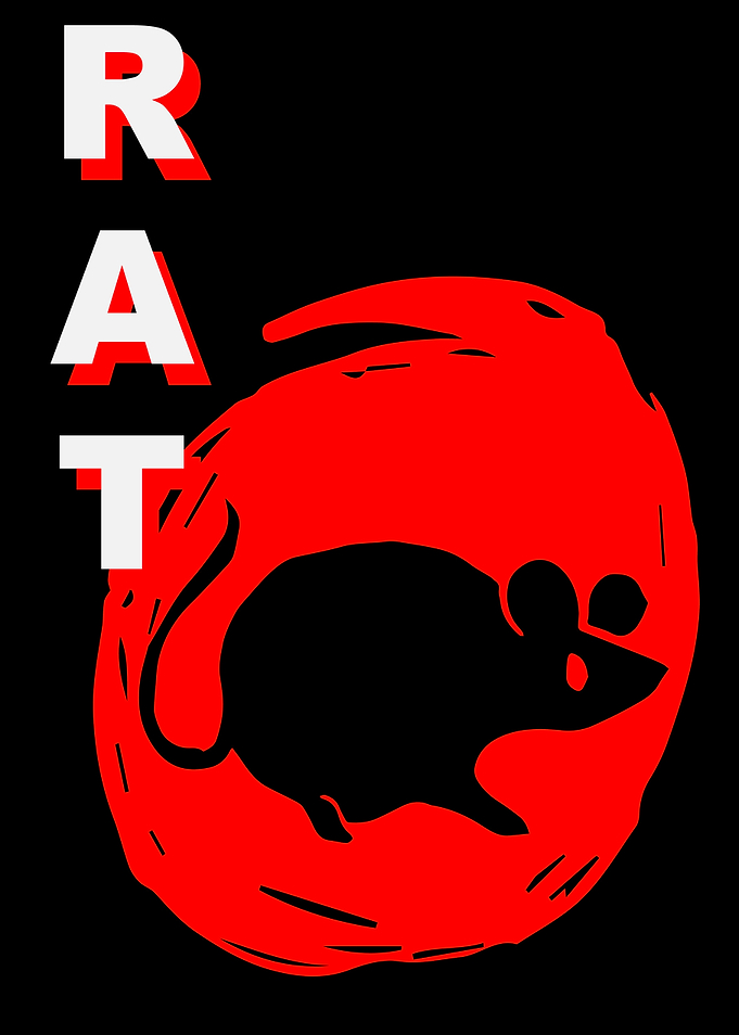 Rat Animal Japan 1