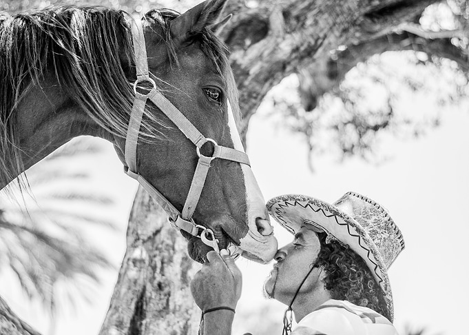 Kiss the horse
