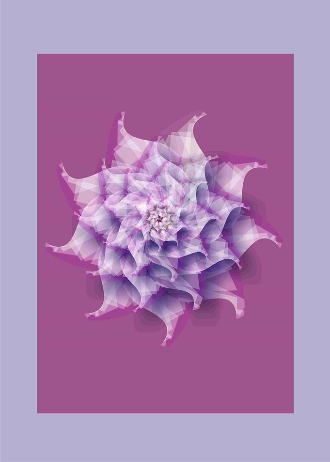 NAUTILUS