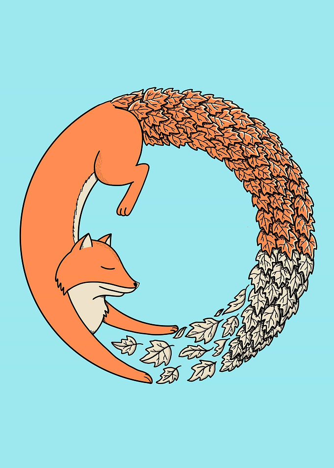 Fox Nature