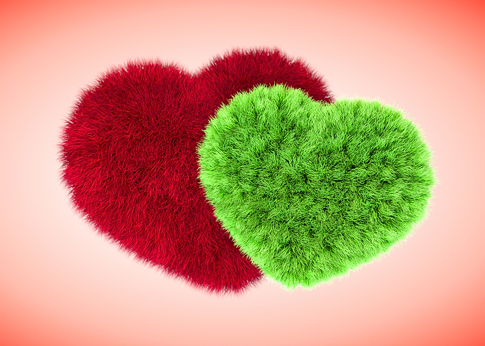 Furry Hearts 3