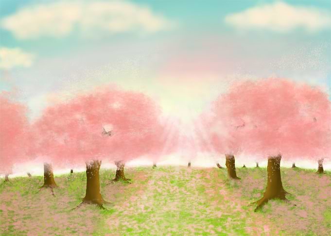 Sakura