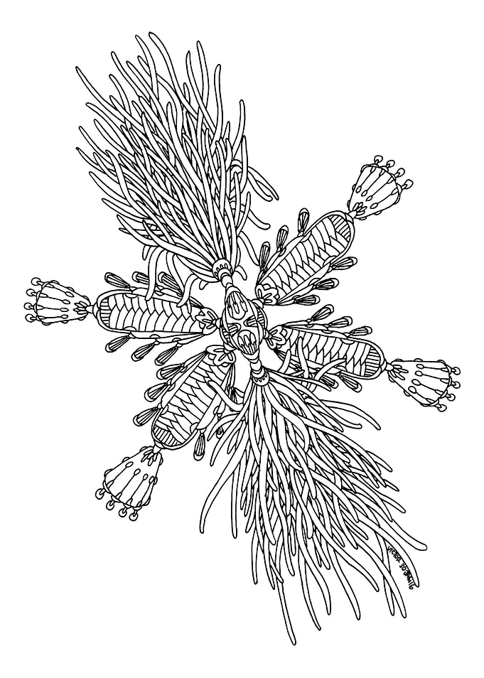 Artwork 43