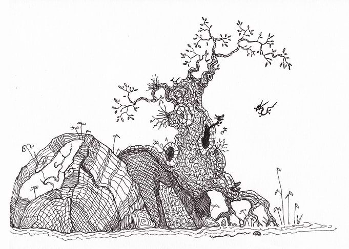 Tiny Dragons Nest