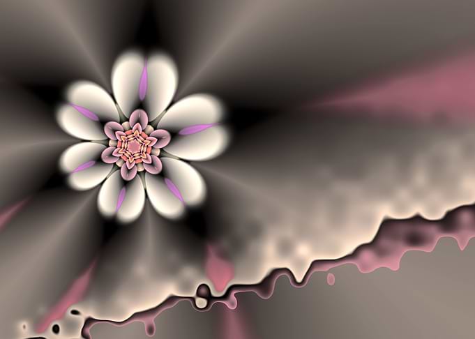 Blume in der 4 Dimension