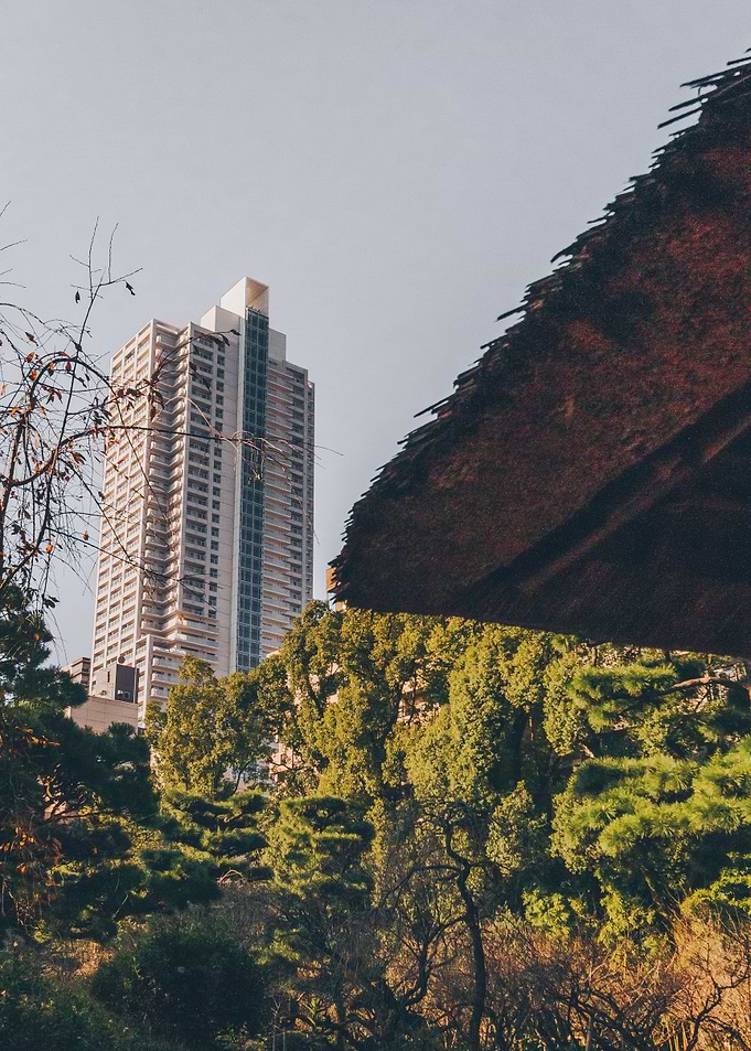 Skyscraper vs Nature