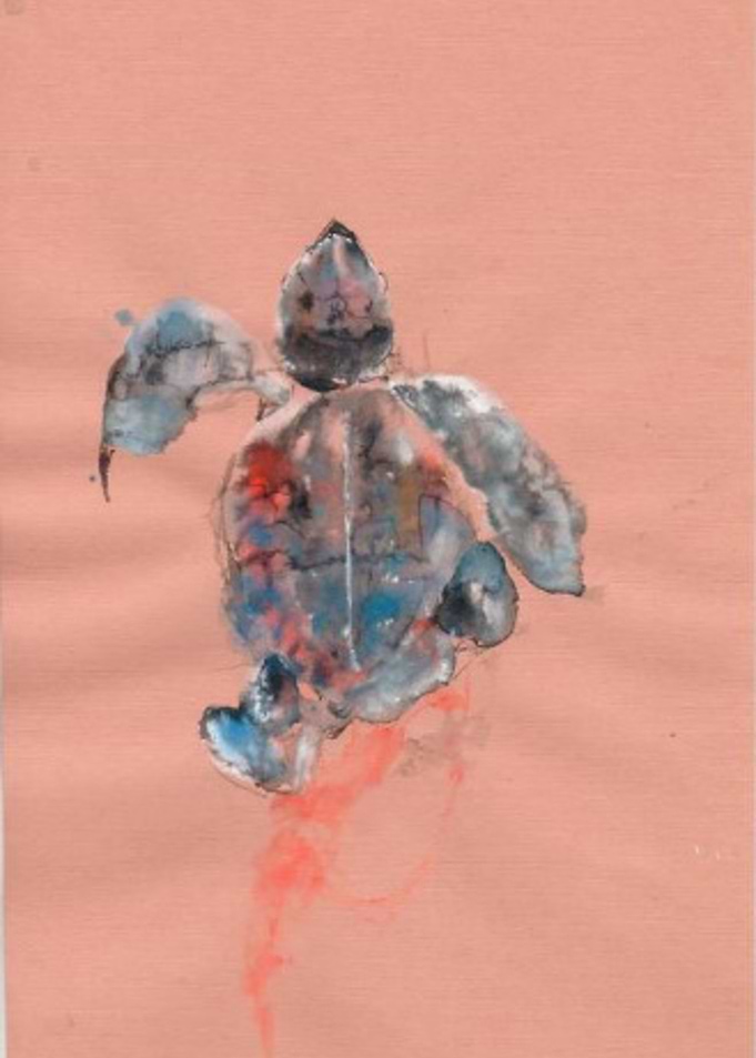 Tortoise