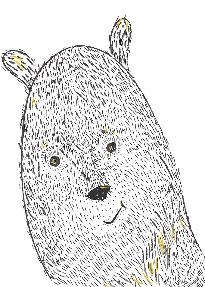 Bear