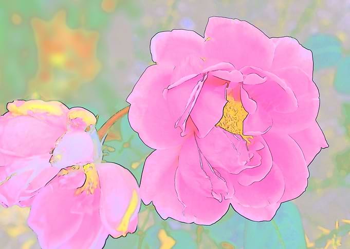 Rose Duo