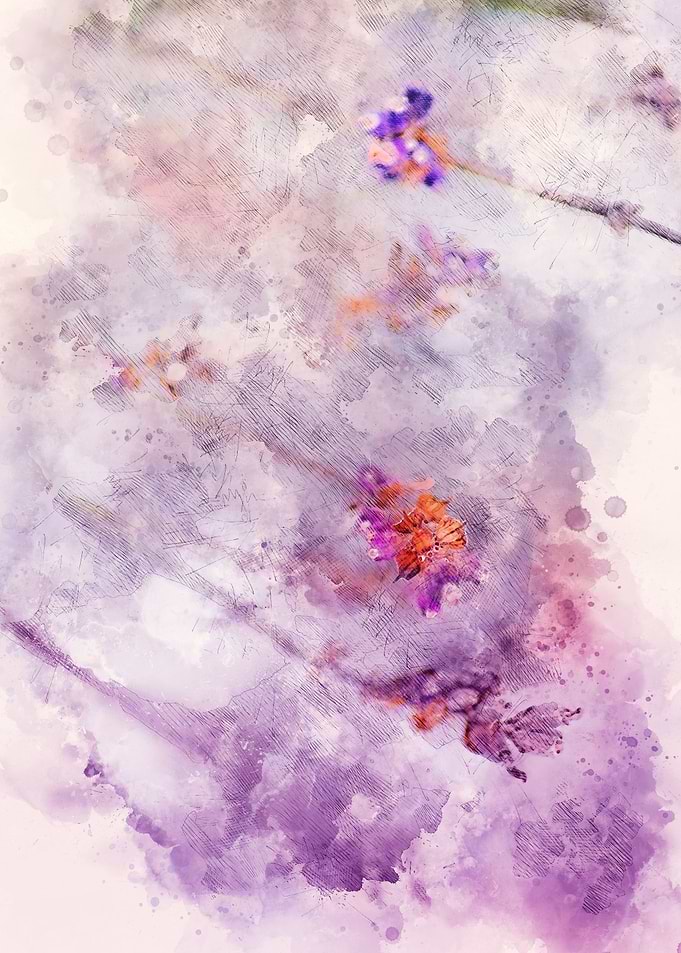 flowers abstract