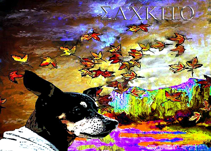 Sackito