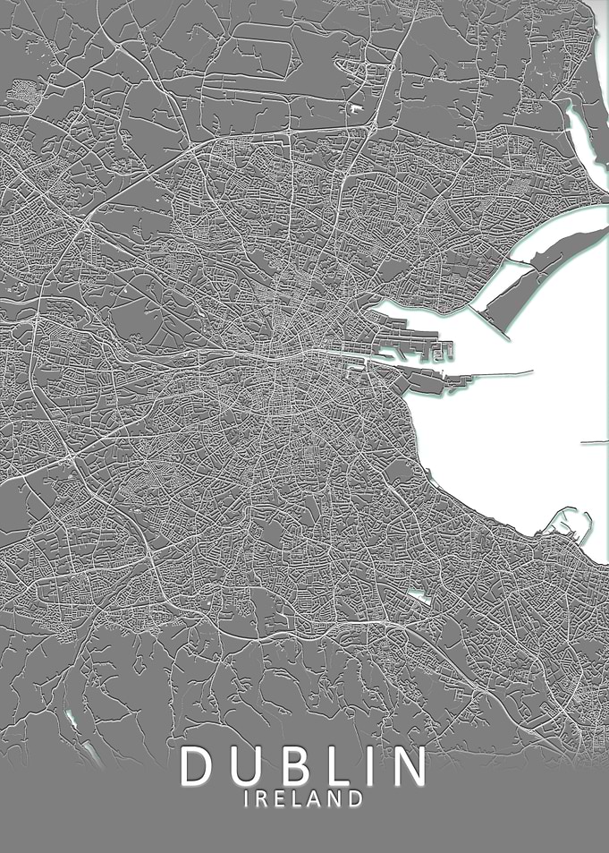 Dublin Grey City Map