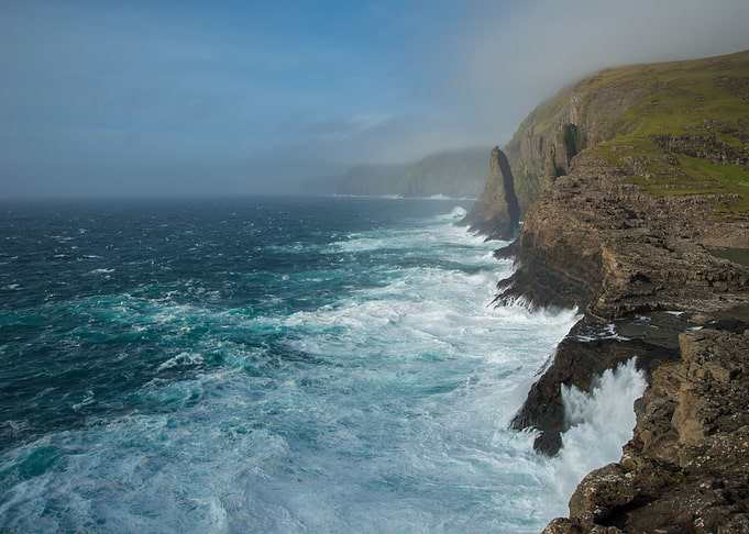 Wild Faroese