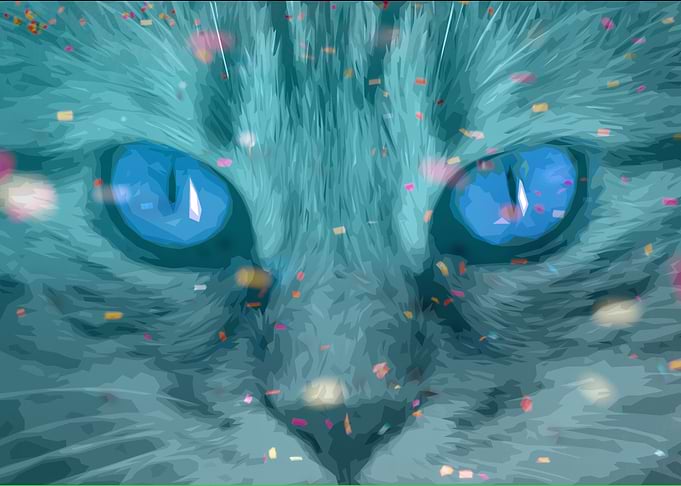 Blue Eyes Big Cat