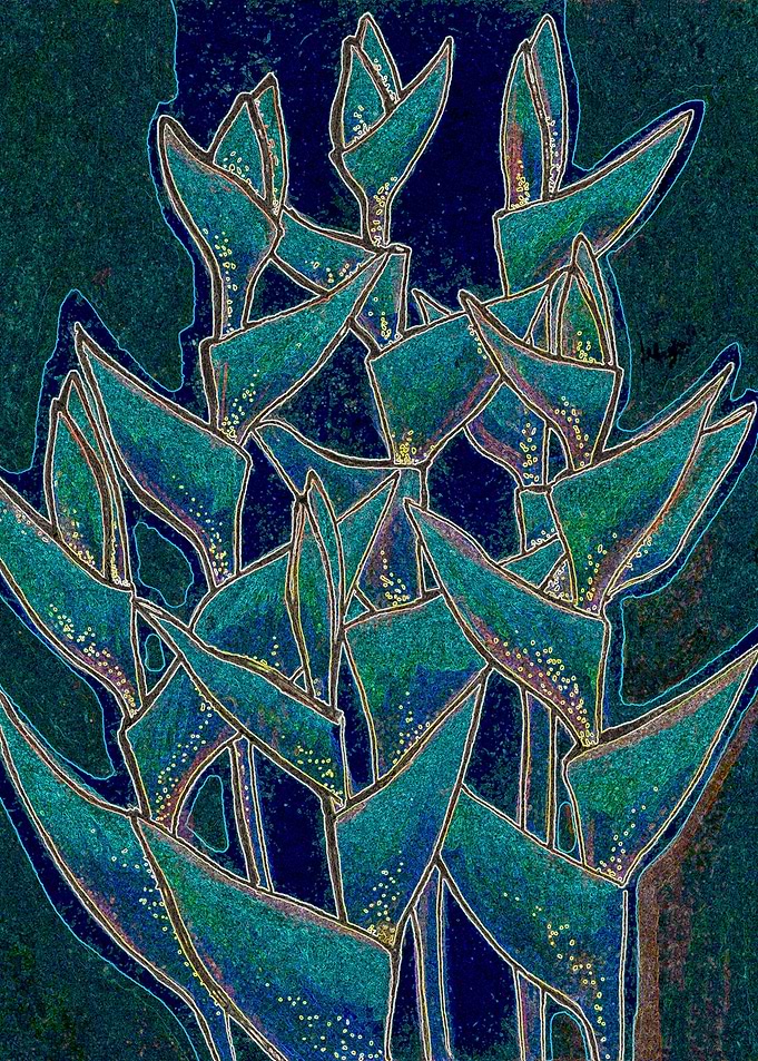 Heliconia Flowers Black