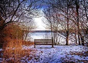 A Seat with a View