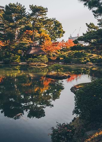 Traditional Asian Garden
