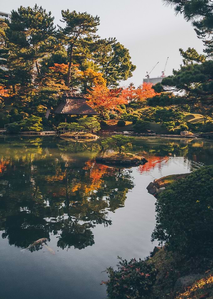 Traditional Asian Garden