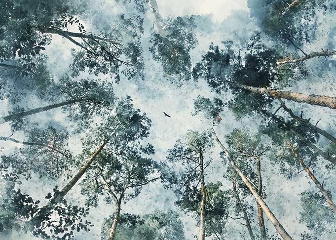 nature art