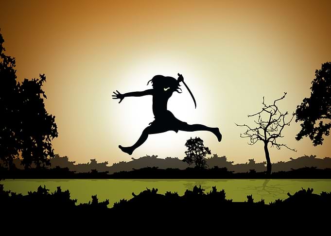 Sri Lankan Warrior