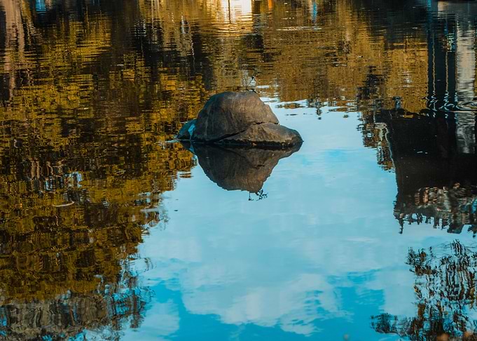 Reflection