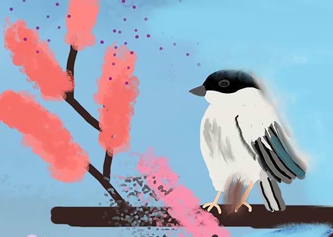 bird
