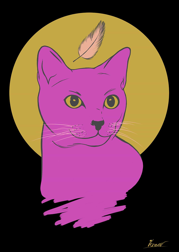 The Cat and The BIrd