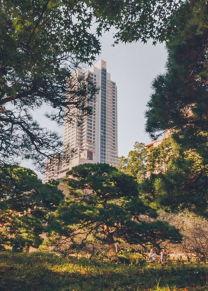 Skyscraper in Forrest