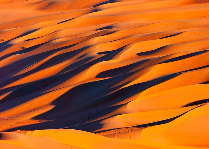 Flame of the Desert