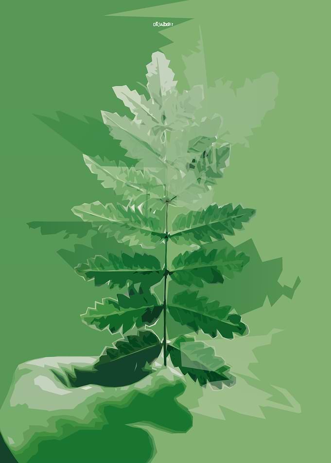 Green Peace