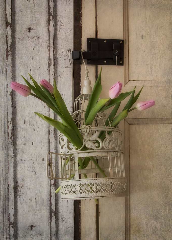 Caged flowers