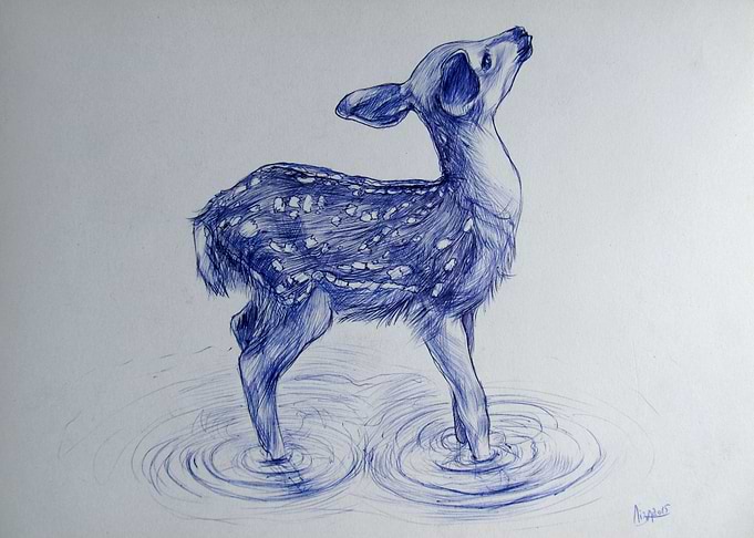 Roe deer
