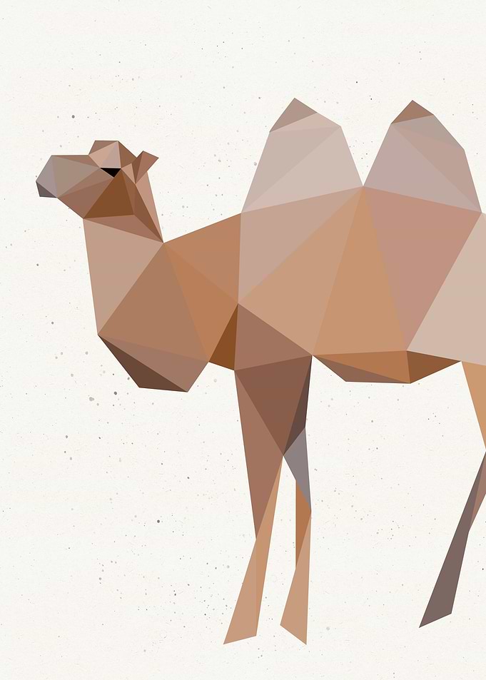Low Poly Bactrian Camel
