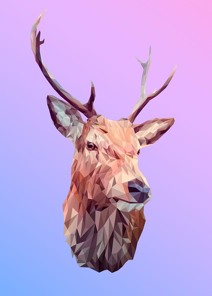 Deer Sketch