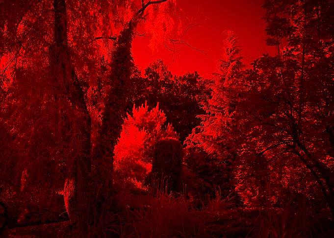 INFRARED GARDEN 1
