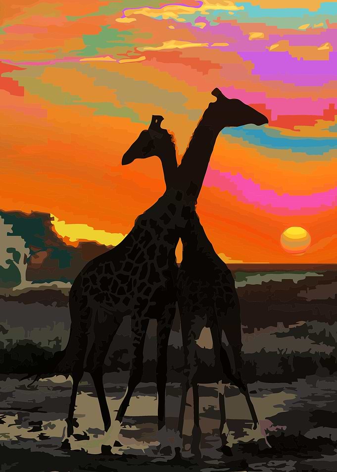 Wild love