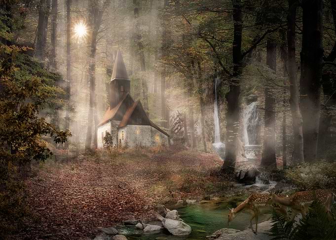 forest Secrets 9