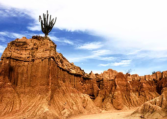 The captus of the top